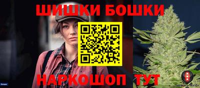 индика Кандалакша