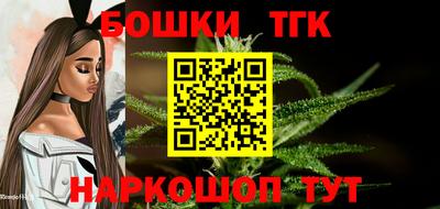 индика Кандалакша