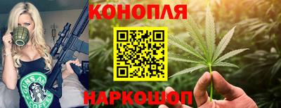 индика Кандалакша