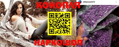 индика Кандалакша