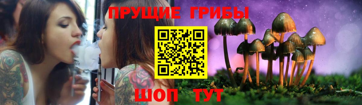 Галлюциногенные грибы мицелий Ишимбай